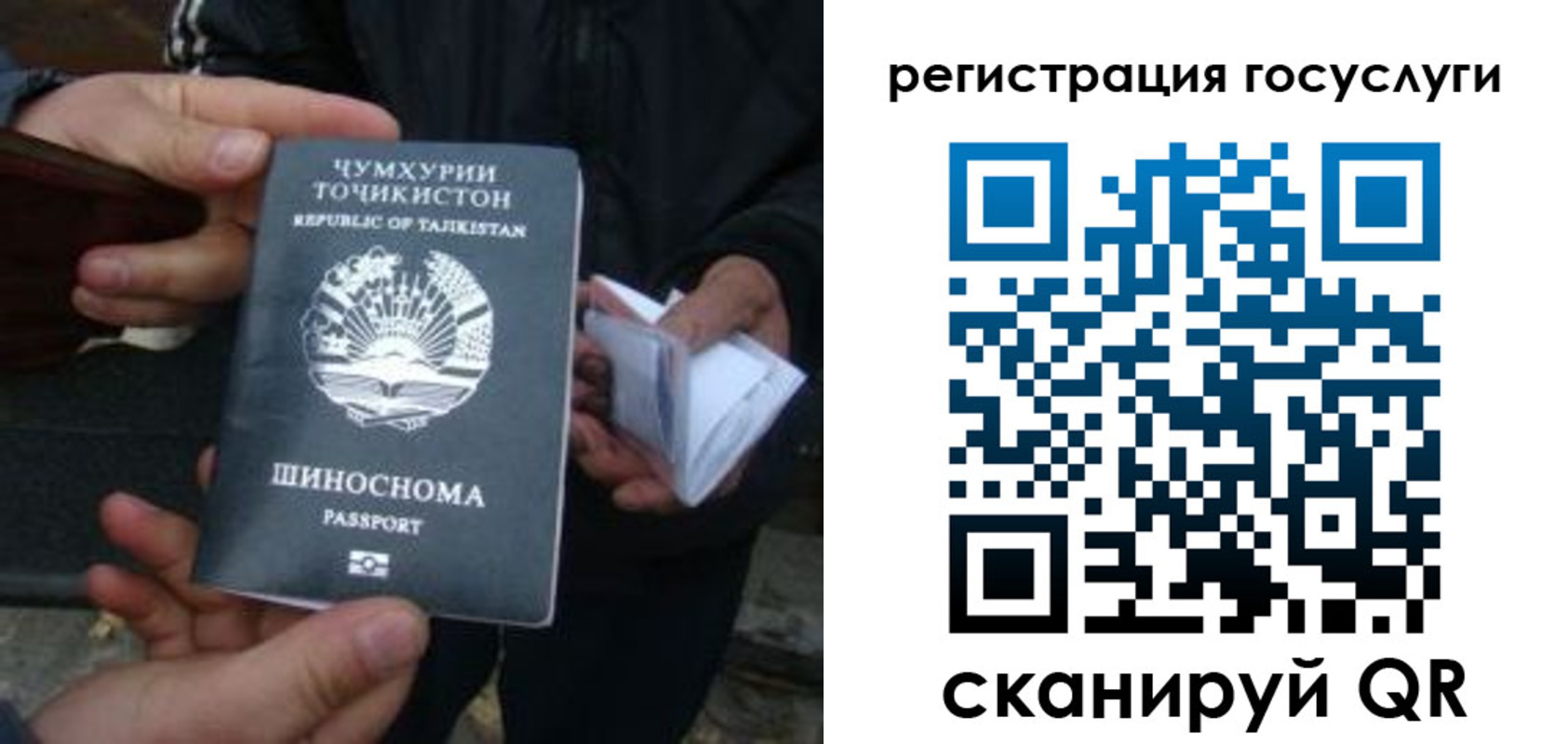 прописка регистрация в Курганской области